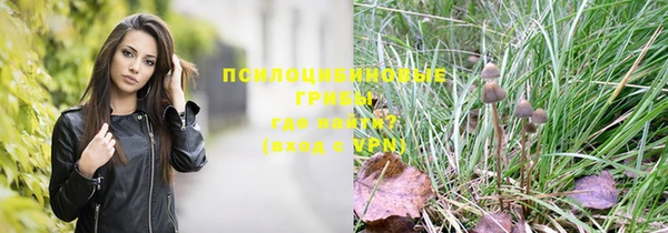 герыч Липки