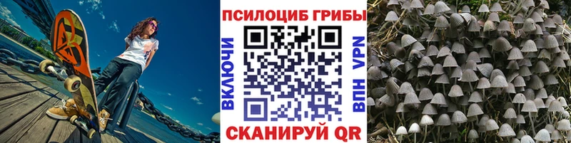 Купить где  Хадыженск  Галлюциногенные грибы Psilocybine cubensis 